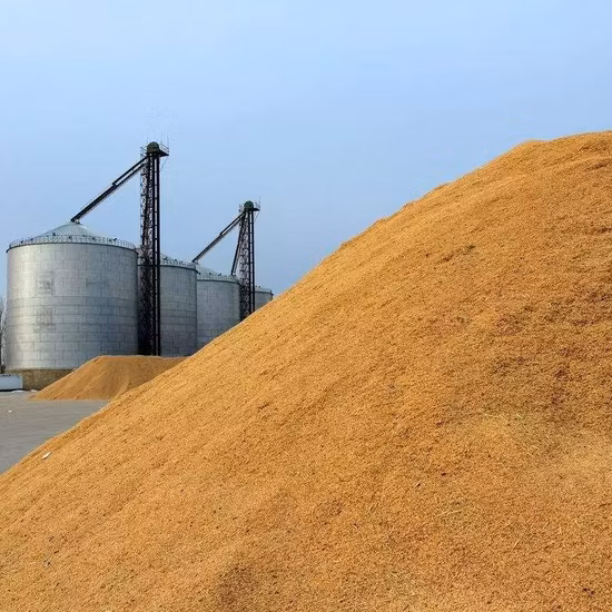 低温循環穀物乾燥システム販売用トウモロコシ乾燥機