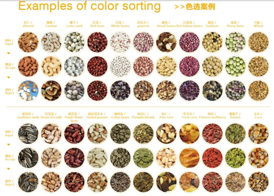 4 Chutes 256 Channels Cashew Nut Belt Color Sorter