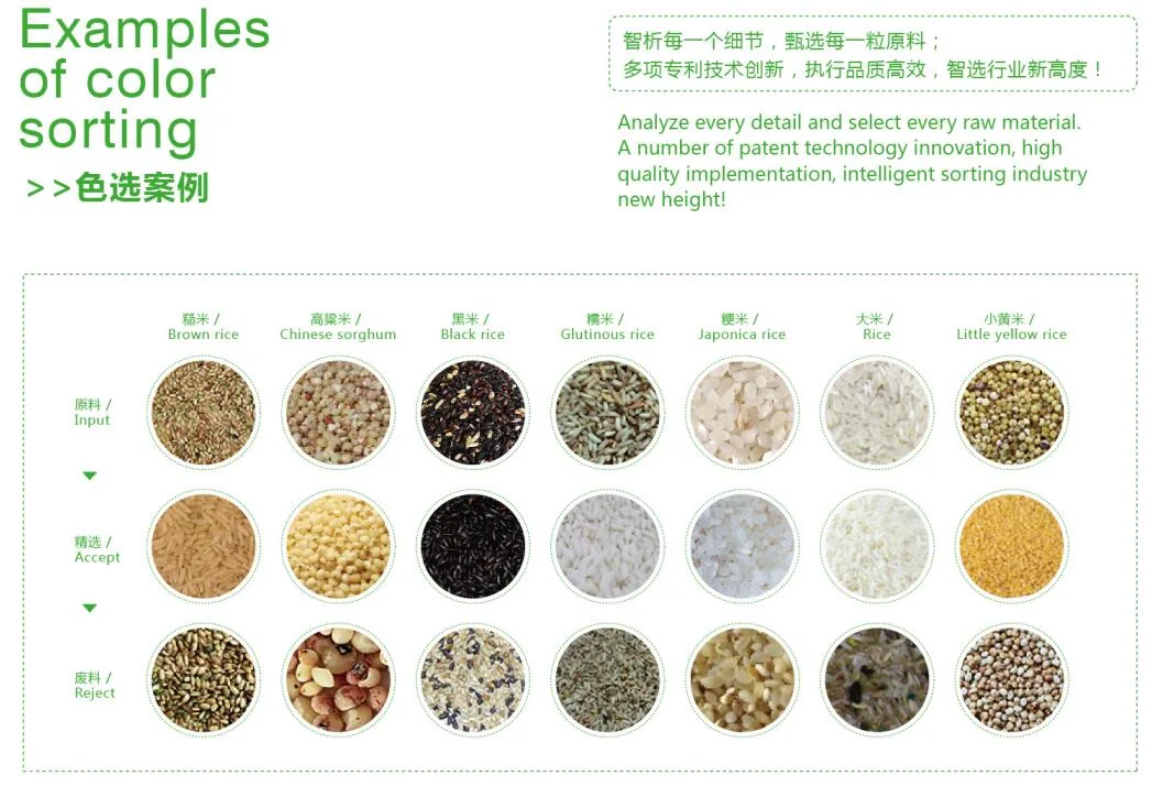 Popular Sunflower Seeds Color Sorter