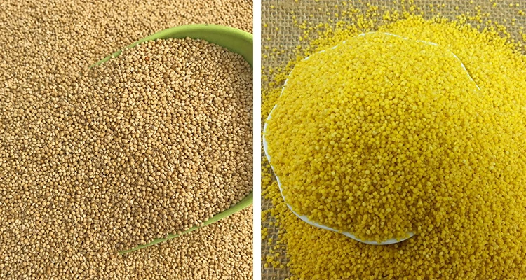 Lentil Grinding Machine Soybean Oil Extractor Machine Sorghum Husk Removing Machine